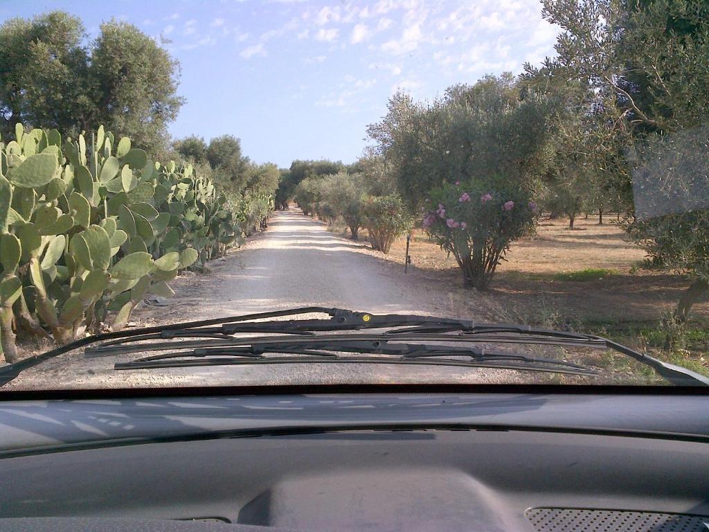 Masseria Asciano Ostuni Quarto foto